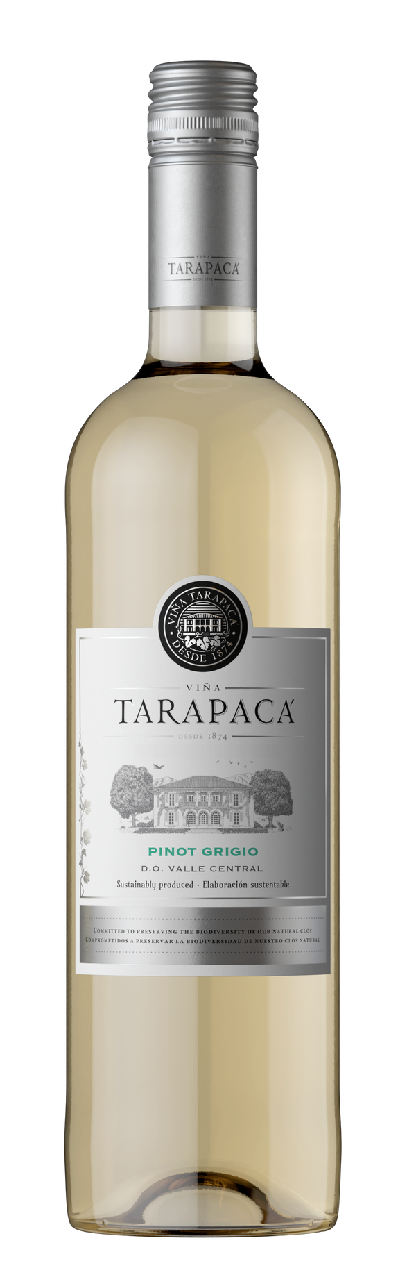 Tarapaca, Varietal Pinot Grigio, 2023 (Case)