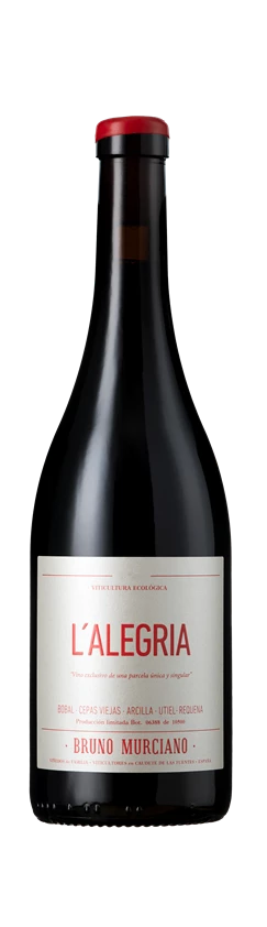 Bruno Murciano, L'Alegria, Valencia, Spain, 2023 (Case)