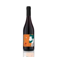 Frisino Legami Primitivo, 2024 (Case)