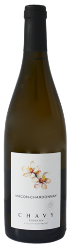 Corentin Chavy, Macon Chardonnay, 2023 (Case)