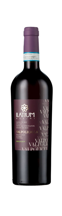 ILatium Morini, Valpolicella, DOC, Veneto, Italy, 2024 (Case)