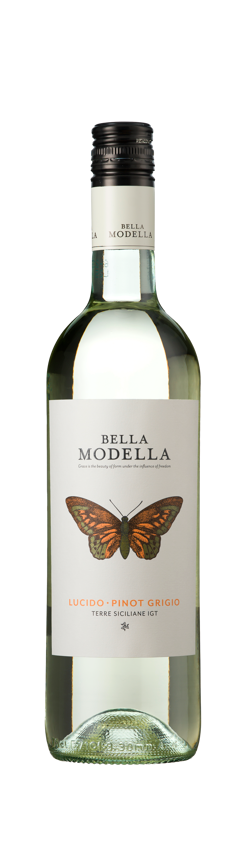 Bella Modella, Lucido Pinot Grigio, IGT, Sicily, Italy, 2024 (Case)