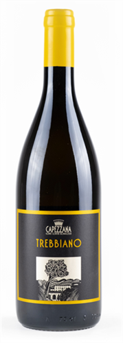 Capezzana, Trebbiano, 2023 (Case)