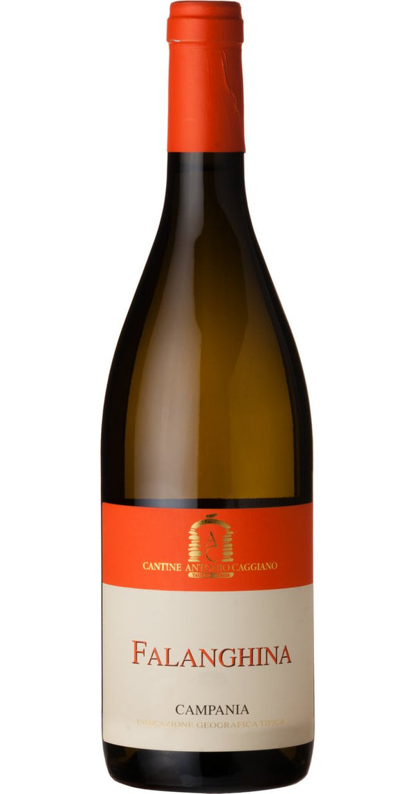 Antonio Caggiano,  Falanghina IGT Campania, 2024 (Case)