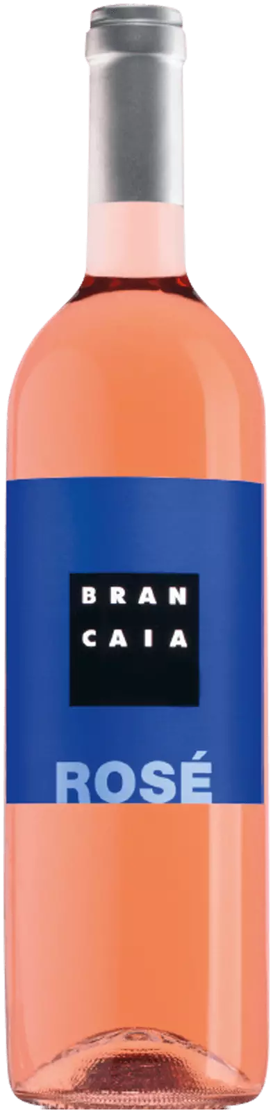 Casa Brancaia, Rosé, 2024 (Case)