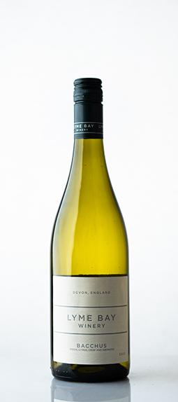 Lyme Bay,  Sandbar Bacchus, 2023 (Case)