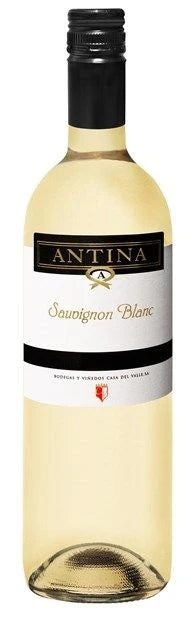 Casa del Valle, 'Antina', Tierra de Castilla, Sauvignon Blanc 2023 (Case)