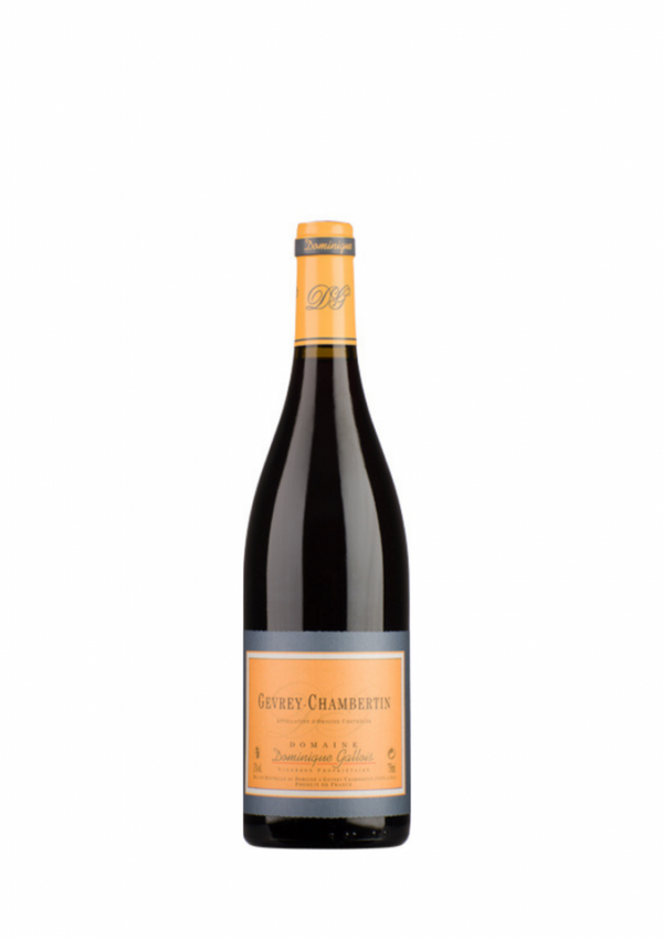 Domaine Gallois, Gevrey Chambertin, 2022 (Case)