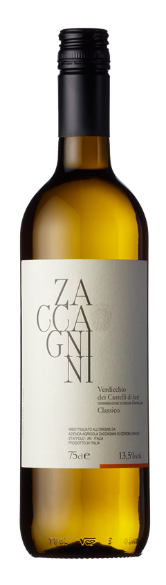 Zaccagnini, Verdicchio di Castelli di Jesi Classico Castello DOC, 2022 (Case)