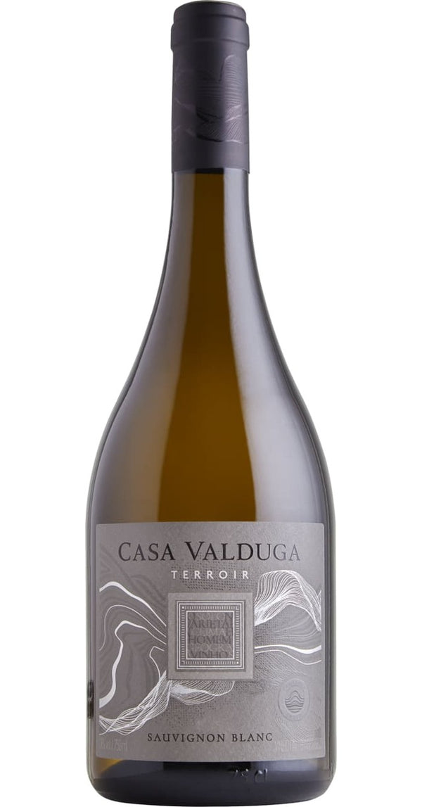 Casa Valduga, Terroir Sauvignon Blanc, 2022 (Case)