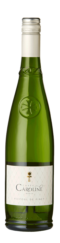 Famille Morin, Cuvée Caroline, Picpoul de Pinet, 2023 (Case)