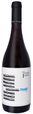Pedro Parra,Trane Cinsault, 2022 (Case)