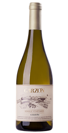 Bodega Garzon, Single Vineyard Albarino, 2021 (Case)